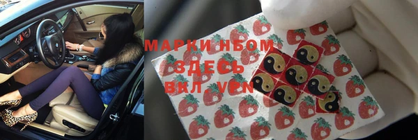 сатива Михайловка
