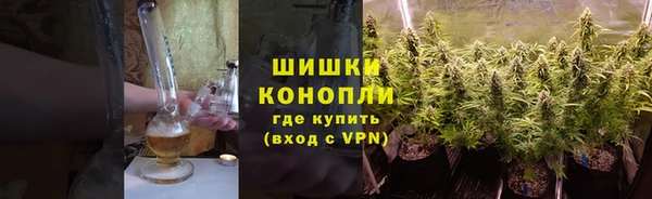 сатива Михайловка