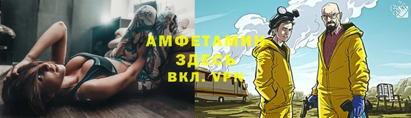 сатива Михайловка