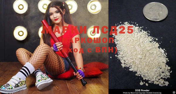 гашик Михайловск