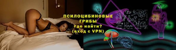 трава Медногорск