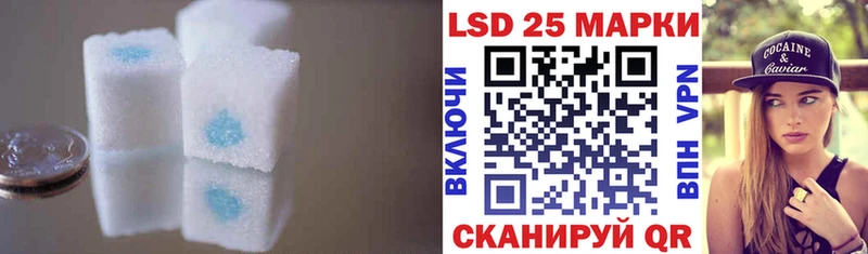 OMG tor  как найти закладки  Змеиногорск  Лсд 25 экстази ecstasy 