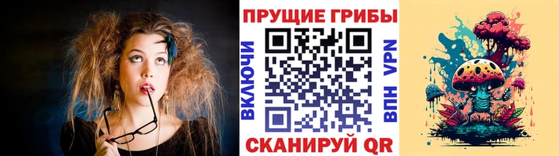 Псилоцибиновые грибы MAGIC MUSHROOMS  наркота  маркетплейс состав  Змеиногорск 