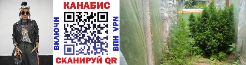 МАРИХУАНА гибрид Змеиногорск